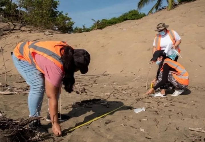 Las actividades integraron el concepto de ciencia ciudadana como vía para concientizar a los ciudadanos, evaluar la cantidad y tipo de basura plástica marina.