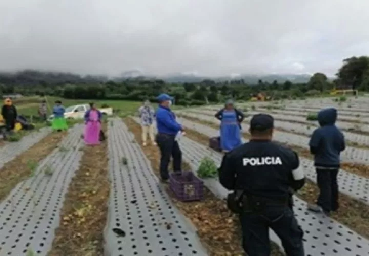 Ambos menores cuentan con estudios, no obstante, uno de ellos no ha sido debidamente registrado por sus padres en el Registro Civil del Tribunal Electoral. Foto: José Vásquez