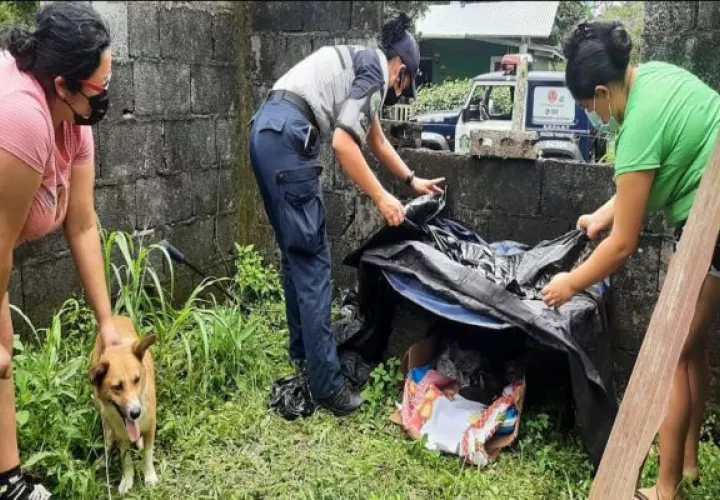 Las autoridades también rescataron a una perrita con sus seis cachorros. Foto: José Vásquez