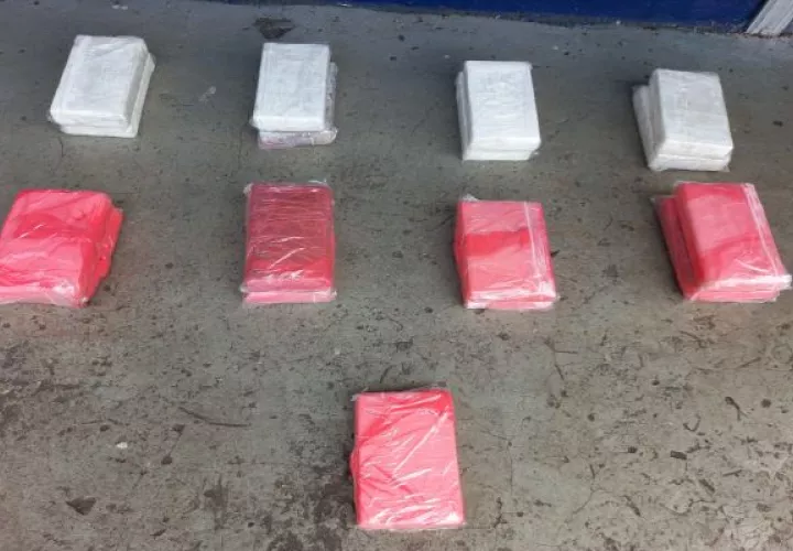 Las autoridades informaron que por este delito de narcotráfico no hay detenidos. Foto: Diomedes Sánchez