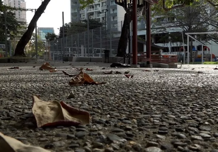 Panamá participará con 17 producciones en el  Ícaro Festival Internacional de Cine en Centroamérica. Foto: Cortesía