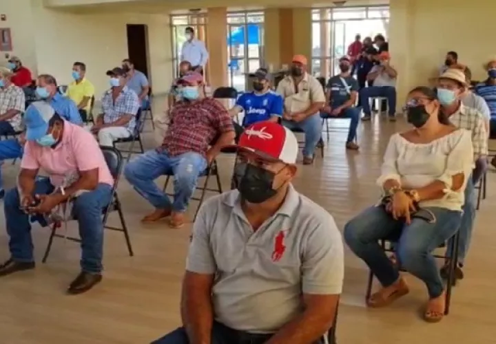 El IMA  ha realizado cambios en la política de pagos, que permite a los productores cobrar el monto pactado en menor tiempo.  Foto: Thays Domínguez