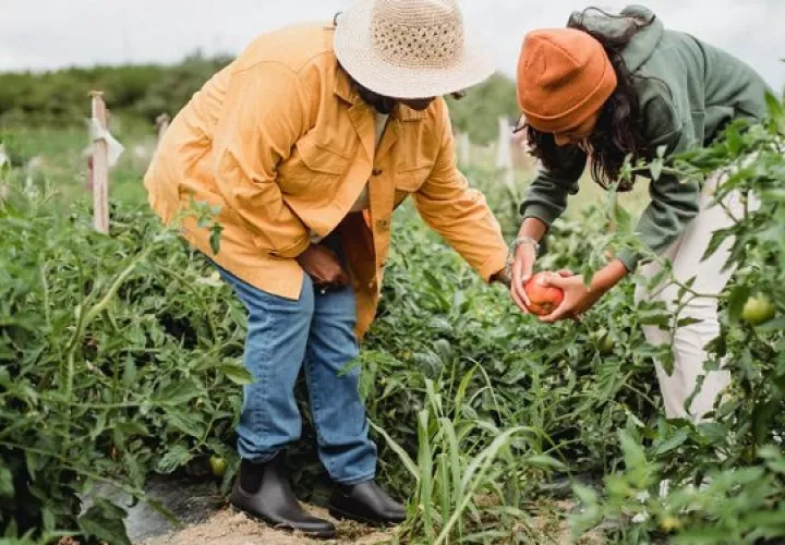 'Las juventudes están en la primera línea para construir los sistemas alimentarios del futuro', afirma Adoniram Sanches Peraci. Foto: Ilustrativa / Pexels