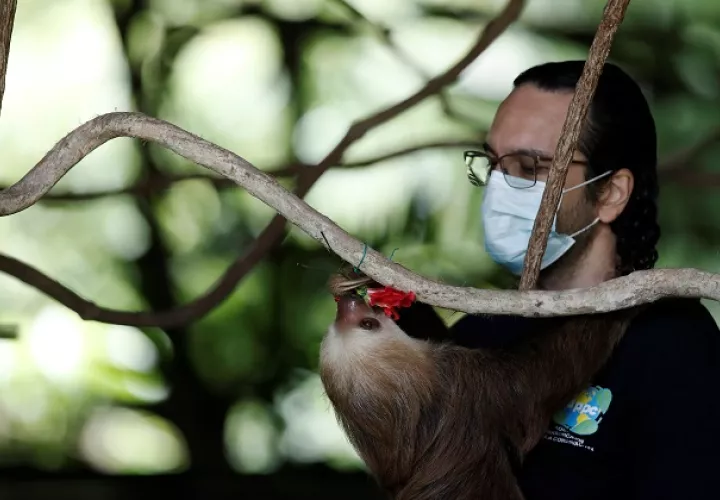 Néstor Correa es el director ejecutivo de la Asociación Panamericana para la Conservación (APPC). Foto: EFE