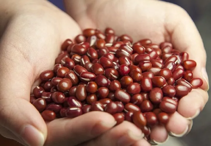 Los frijoles son una fuente de calcio. Foto: Ilustrativa / Pixabay