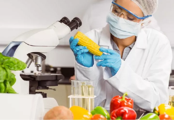 Quieren incentivar la investigación en esta rama. Cortesía