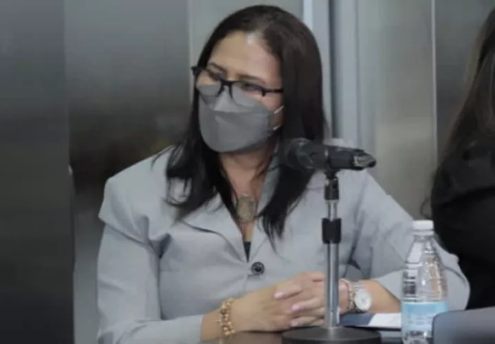 El pasado jueves, la directora general de la Senadis explicó su plan de trabajo a diputados de la Comisión de Credenciales.  Foto: Cortesía