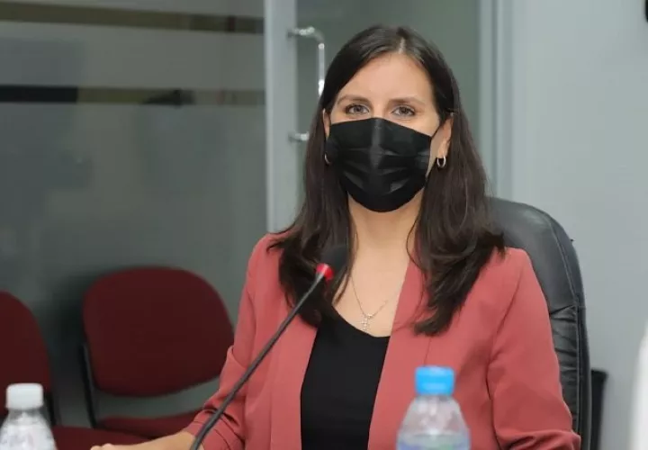 La directora de la Senniaf, Gabriela Mauad, sustentó el presupuesto para el próximo año, que incluye tres centros de atención a niños.