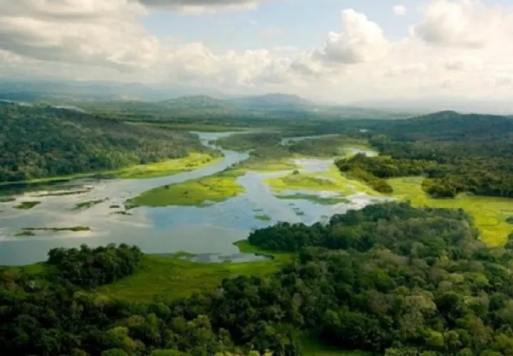 El objetivo central definir las mejores formas de manejar las tierras en el trópico para proteger los recursos hídricos. Foto: STRI