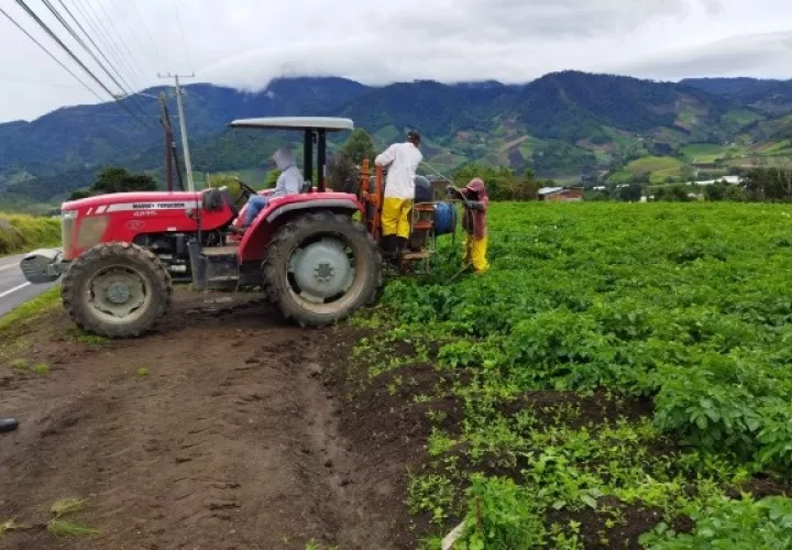 Los trabajadores de la tierra aseguran que no resisten un alza más en los insumos, aunque son conscientes que el tema de la pandemia de la covid-19 ha generado un aumento en los precios. Foto: José Vásquez 