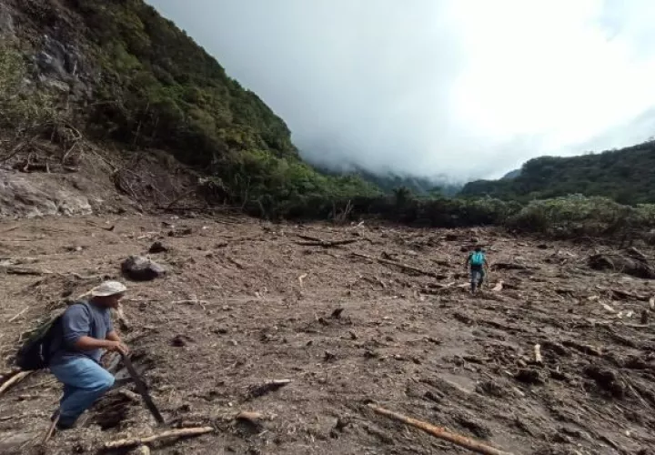 Los senderos de Los Quetzales y Panamá Verde, están ubicados en Parques Nacionales en la provincia de Chiriquí y el mayor número de visitantes son extranjeros. Foto: José Vásquez