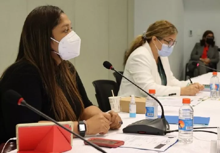 Guimara Tuñón (izq.) tuvo la compleja tarea de ser facilitadora de la comisión de la que salieron los aportes para el riesgo de pensiones. Foto: Cortesía