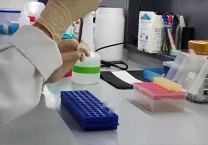 Vista de un laboratorio de investigación de Uruguay. Foto: EFE