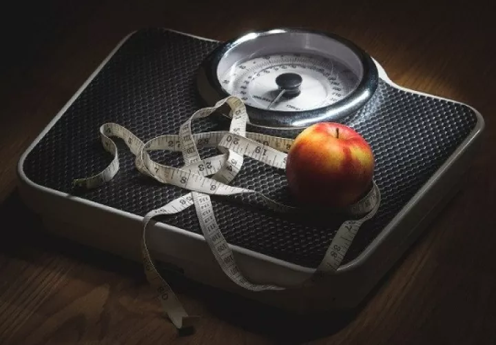La obesidad es una enfermedad crónica. Foto: Ilustrativa / Pixabay