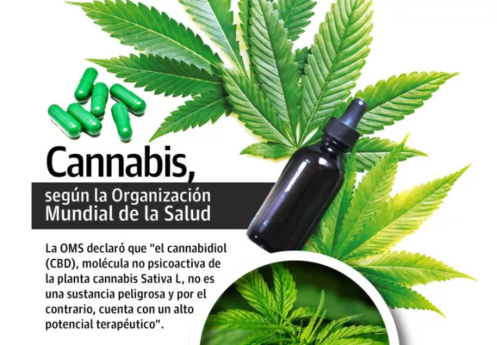 cannabis-ley_0.jpg