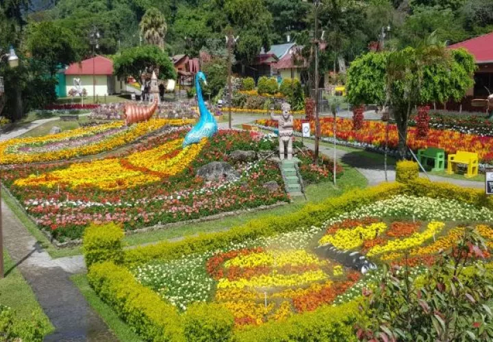 Ya  se trabaja en los jardines que son el principal atractivo de los visitantes y en mejorar las estructuras de los estands. Foto: José Vásquez