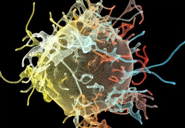 OMS lanza estrategia contra la meningitis para salvar más de 200 mil vidas al año.  Pixabay