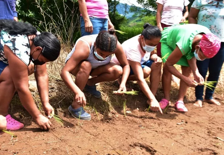 Un grupo de 40 mujeres rurales asiste a la Escuela Campo "Una Luz en el Camino". Foto: Cortesía Mides