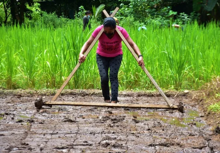 Las clases buscan promover una agricultura sostenible y lograr cultivos amigables con el medio ambiente. Foto: Cortesía Mides