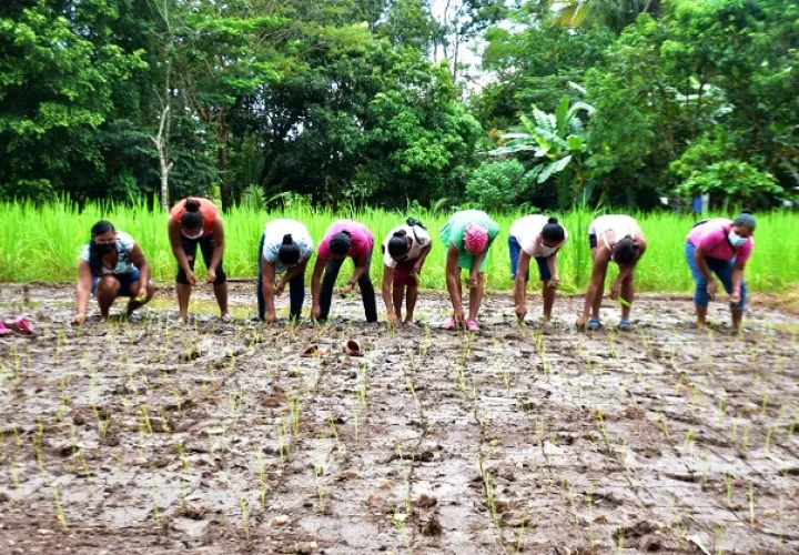 "Una Luz en el Camino" está ubicada en la apartada comunidad de Río Chique Quije, en la provincia de Coclé. Foto: Cortesía Mides