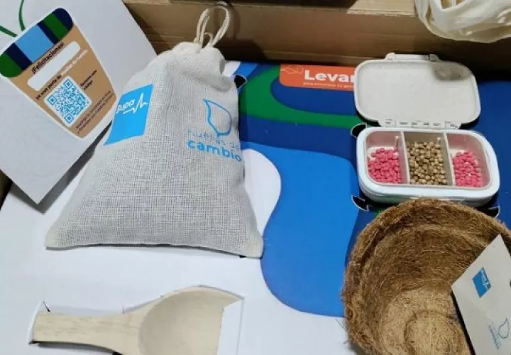 Contenido de los 'kits' de siembra. Foto: Cortesía