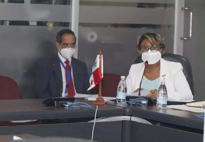 Las partidas fueron sustentadas por la viceministra del Minsa, Ivette Berrío.   Foto: Cortesia Minsa