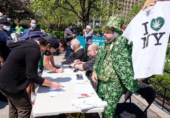 La ley que regula el cannabis estipula que es legal la posesión de hasta 85 gramos de marihuana. Foto: EFE