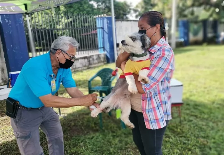 Minsa buscan orientar y concienciar sobre la importancia en la atención de las mascotas. Foto: Cortesía Minsa