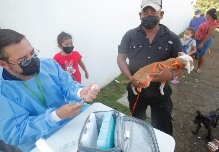 Panamá lanza la campaña #yo amo mi mascota. Foto: EFE
