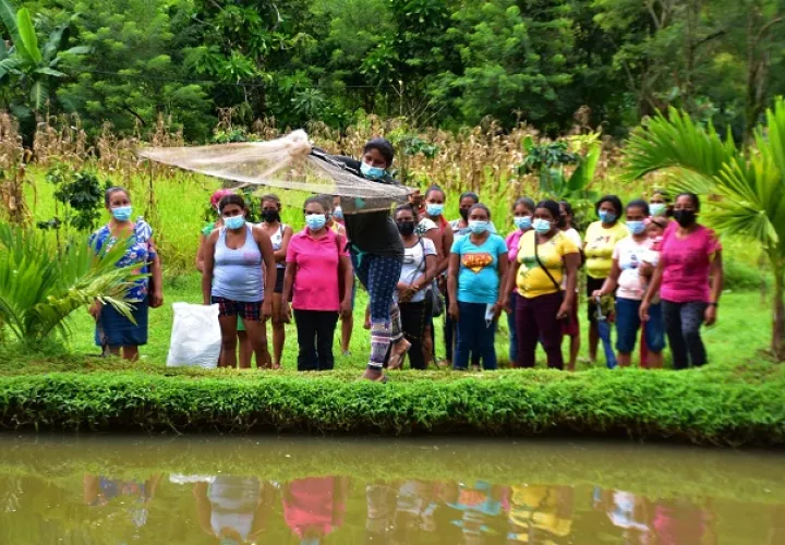 La escuela cuenta con cuatro tinas de tilapias. Foto: Cortesía Mides 
