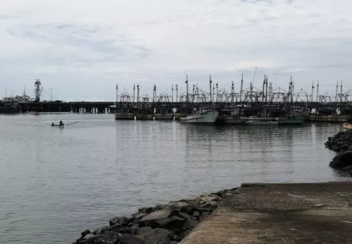 Las 102 embarcaciones de arrastre que zaparon del Puerto de Vacamonte implican la vuelta al trabajo de 510 personas. Foto: Eric Montenegro