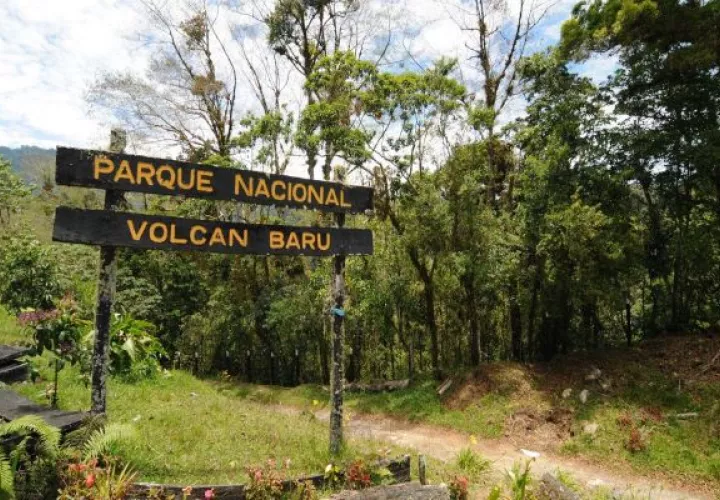 El Parque Volcán Barú es una área protegida, ubicada en la provincia de Chiriquí. Foto: Cortesía