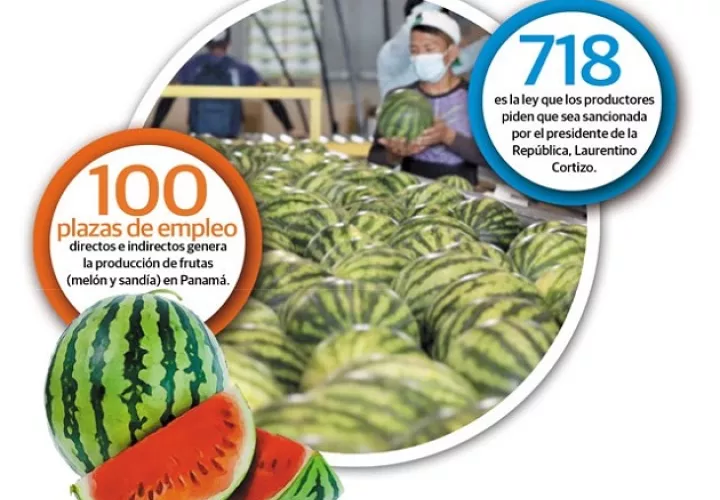 agroexportacion-panama-aumento-costo-insumos-fletes_0.jpg