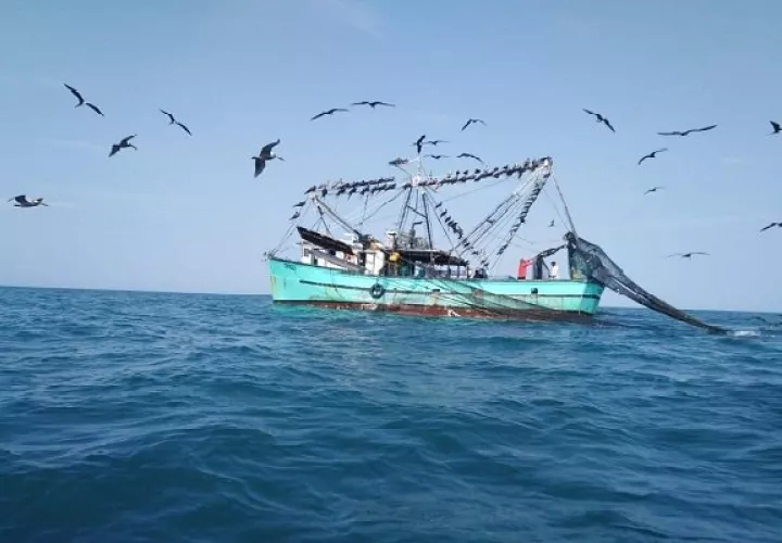 La pesca ilegal afecta a la industria pesquera mundial y genera daños  severos al ecosistema marino. Foto: Archivo