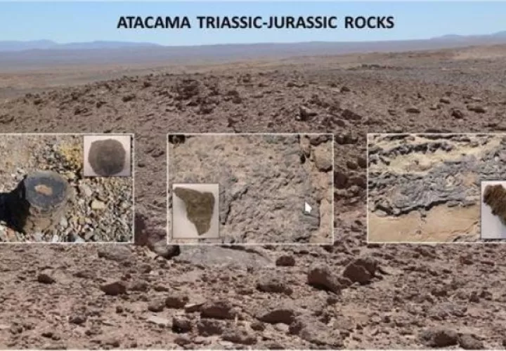 Afloramientos de carbonatos marinos del Triásico-Jurásico en el Desierto de Atacama (Chile). EFE