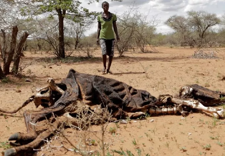 Crisis climática provocará olas migratorias. Foto: EFE