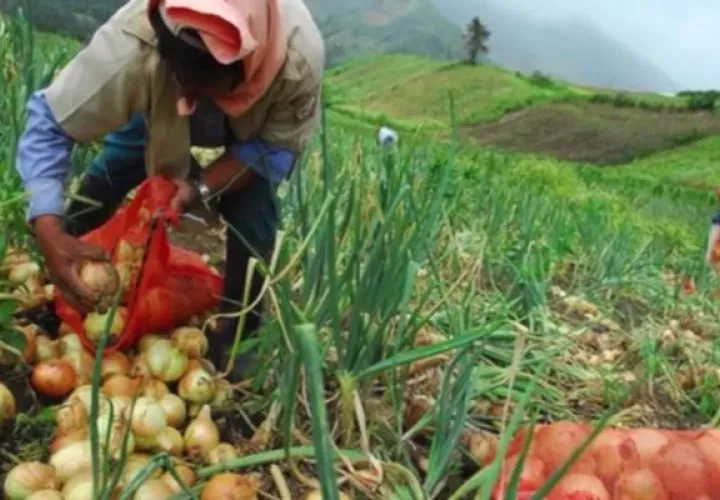 El dirigente precisó que los acuerdos suscritos en el comité la estadística de producción considerada la merma, comercialización y consumo. Foto: José Vásquez
