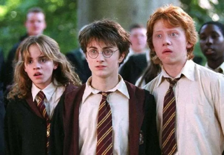 Harry, Ron y Hermione. Foto: Internet