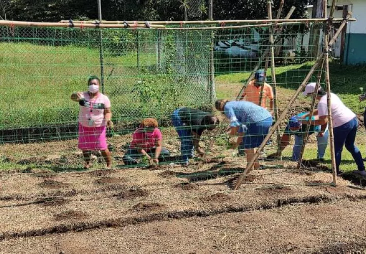 Estas familias recibieron con anterioridad herramientas como pollos de engorde, semillas, abonos, fertilizantes y demás insumos y materiales. Foto: Diomedes Sánchez
