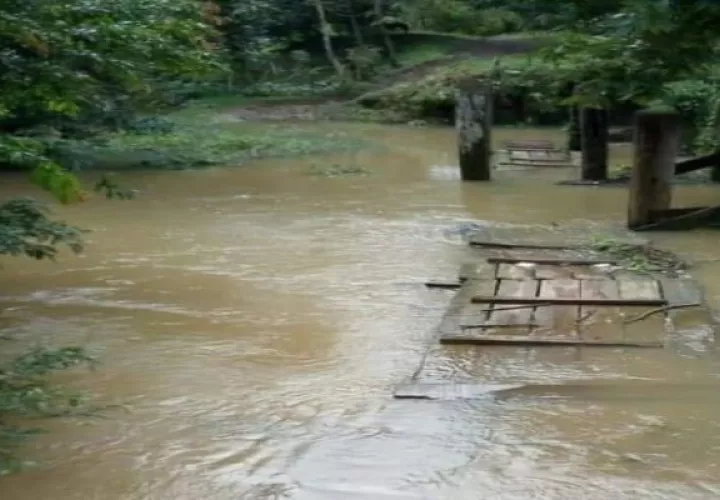 El puente de madera se ve afectado por la crecida del río. Foto: Diomedes Sánchez