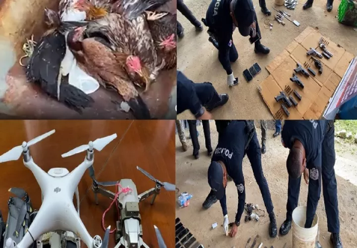 Gallos, armas de fuego y celulares, entre otros artículos, fueron decomisados hoy en La Joyita. 