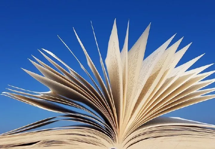 Feria del libro. Foto: Pixabay