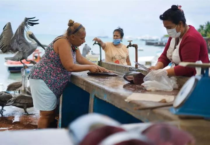 Pescadores y comerciantes del mercado Puerto Ayora, Galápagos (Ecuador). EFE
