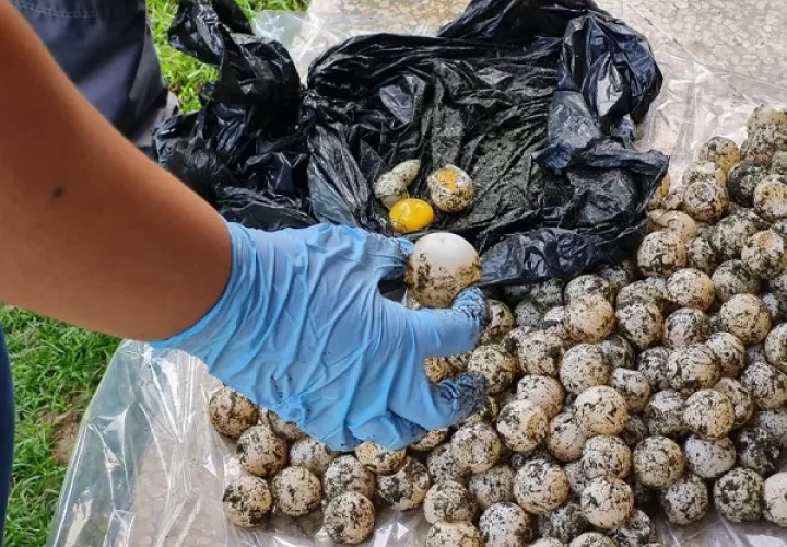 Unidades policiales abordaron al ciudadano que mantenía actitud sospechosa. Foto: Cortesía MiAmbiente