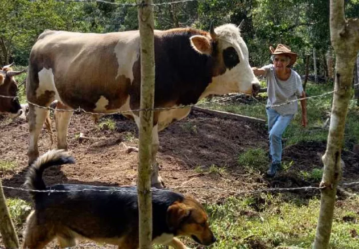 Olga Caballero, le gusta vivir en las montañas de Boquete. Fotos @MásEventos