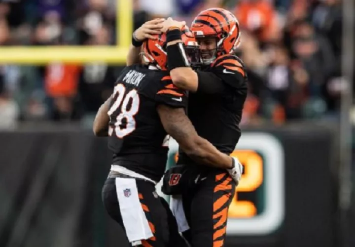 Los Bengals atraviesan por una buena racha. Foto: Bengals