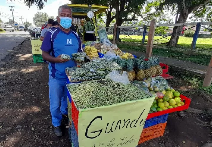 Una vez baje toda la producción de guandú de la comarca hacia los mercados el precio bajará aún más, lo cual hace difícil su producción por los altos costos de producción. Foto: José Vásquez