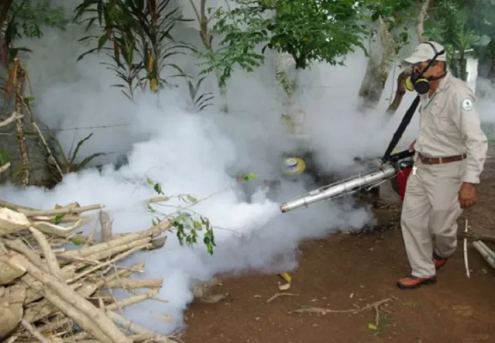 La nebulización no mata los huevecillos del mosquito. Foto: Minsa