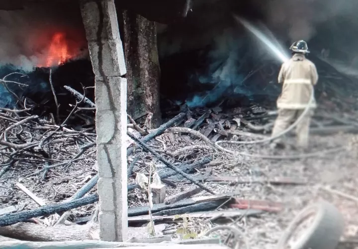 En la labor de extinción han apoyado compañías de bomberos voluntarios. Foto: Eric A. Montenegro
