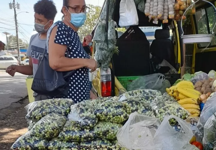 El guandú nacional, uno de los productos preferidos por los panameños y que más se consume con la celebración de las fiestas de fin de año, había disminuido su producción en los últimos años. Foto: José Vásquez